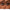 Smooth Silk Eye Pencil - Azora Beauty