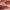Prisma Glass Hydrating Lip Gloss - Azora Beauty