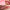 Prisma Glass Hydrating Lip Gloss - Azora Beauty