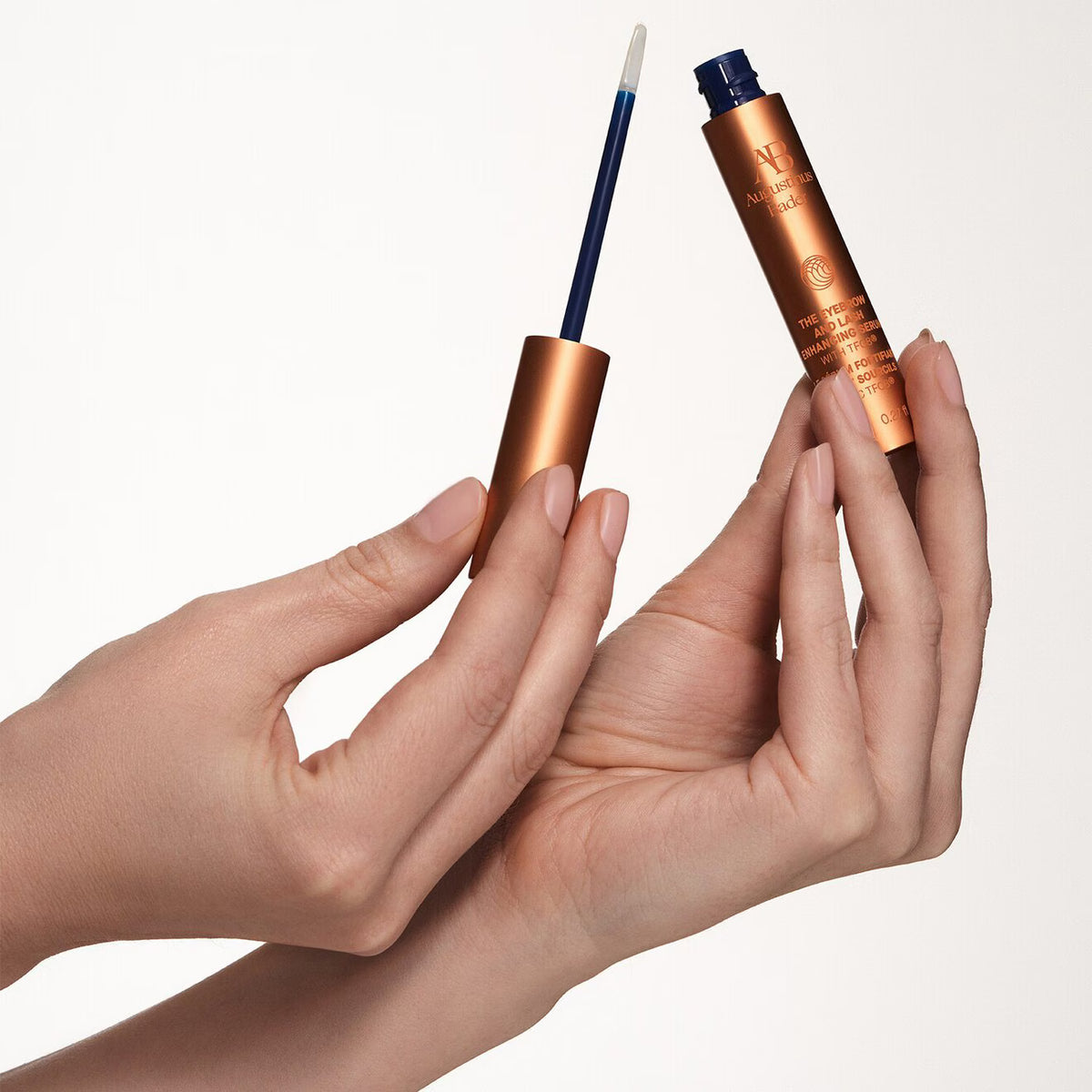 The Eyebrow & Lashes - Azora Beauty