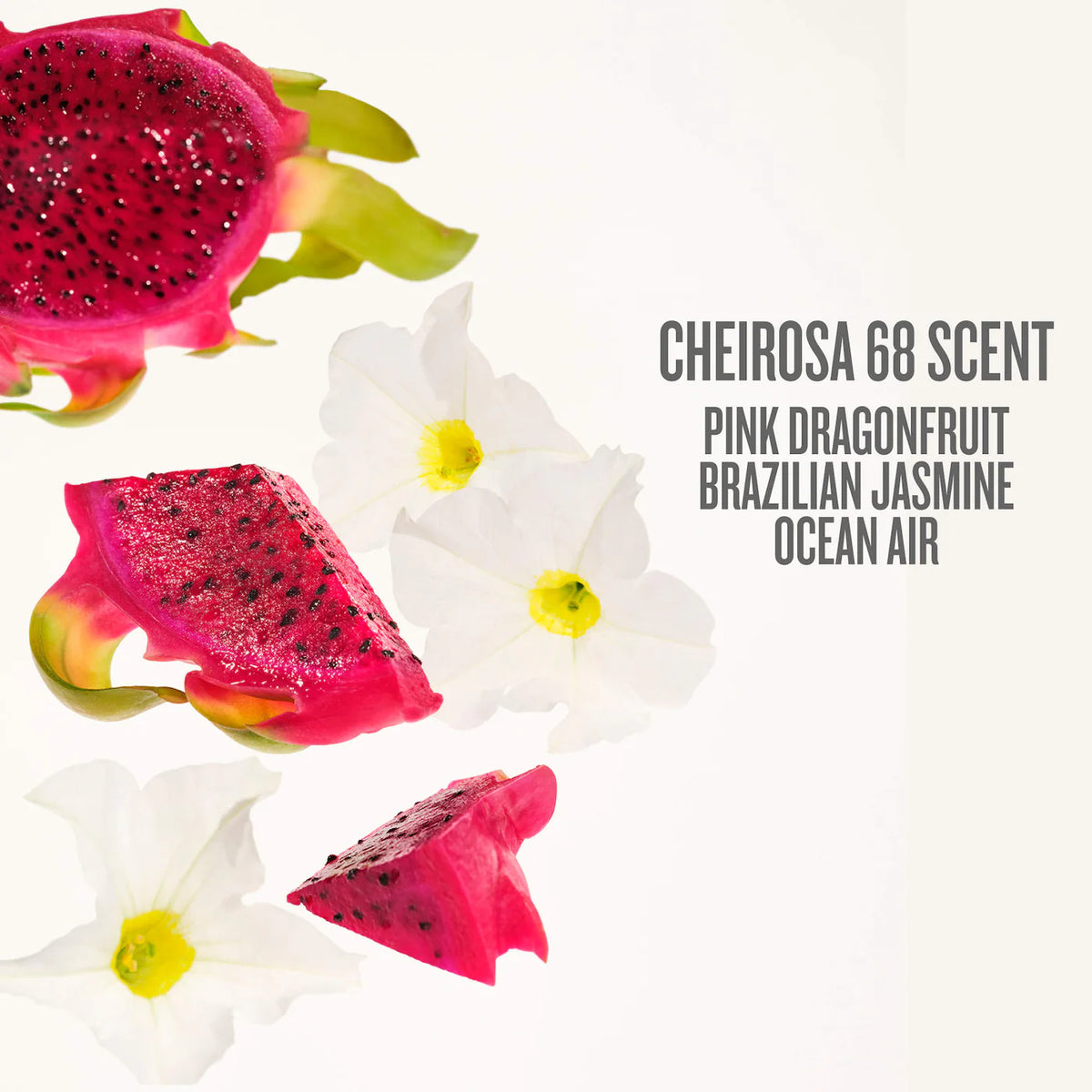 Beija Flor™ Elasti-Body Oil - Azora Beauty