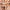 Precisely My Brow Pencil - Azora Beauty