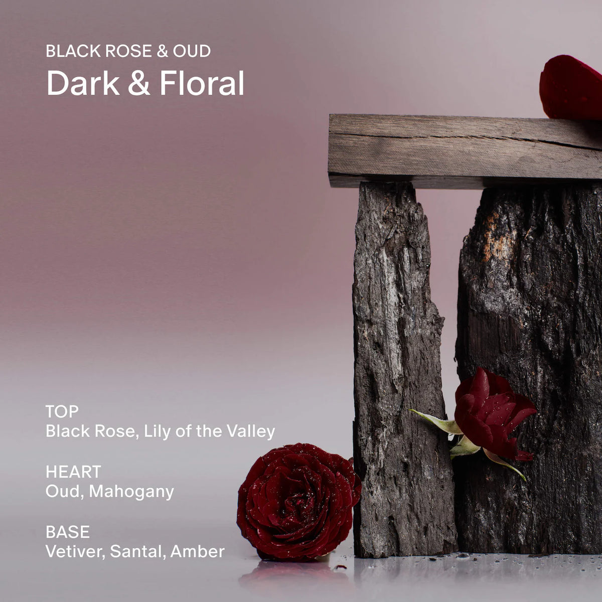 Black Rose & Oud Body Lotion - Azora Beauty