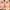 Born This Way Super Coverage Concealer
