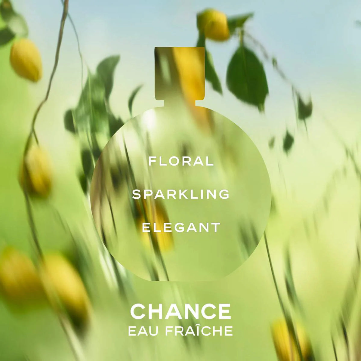 Chance Eau Fraîche Eau De Parfum Spray - Azora Beauty