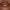 Big Lip Plumpgasm