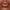 Pillow Talk Big Lip Plumpgasm