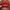 Lip Cheat - Azora Beauty