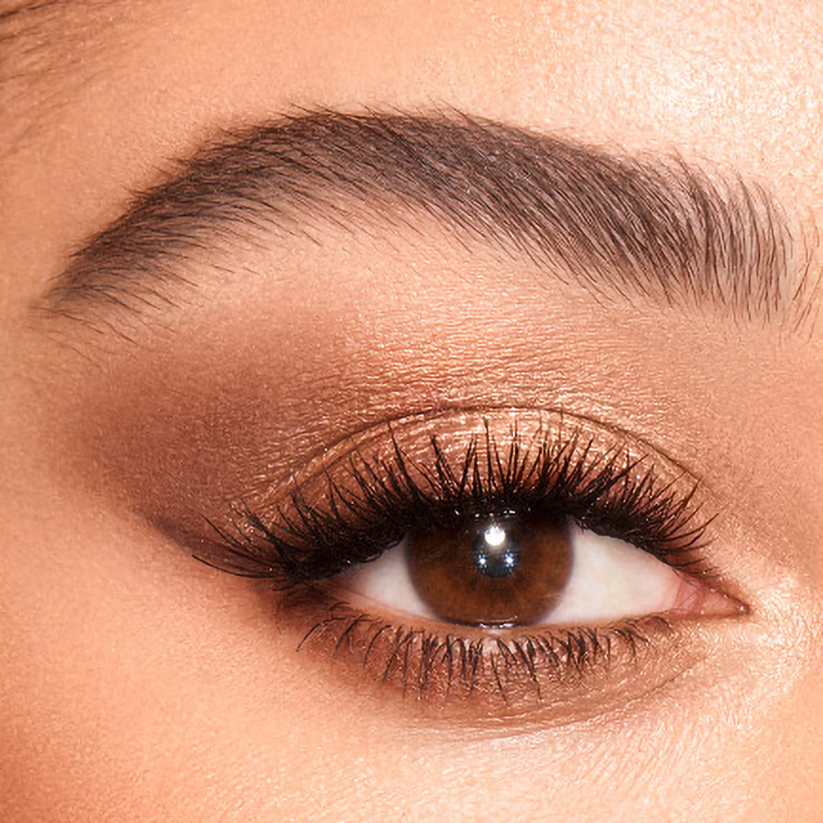 Luxury Palette - Azora Beauty