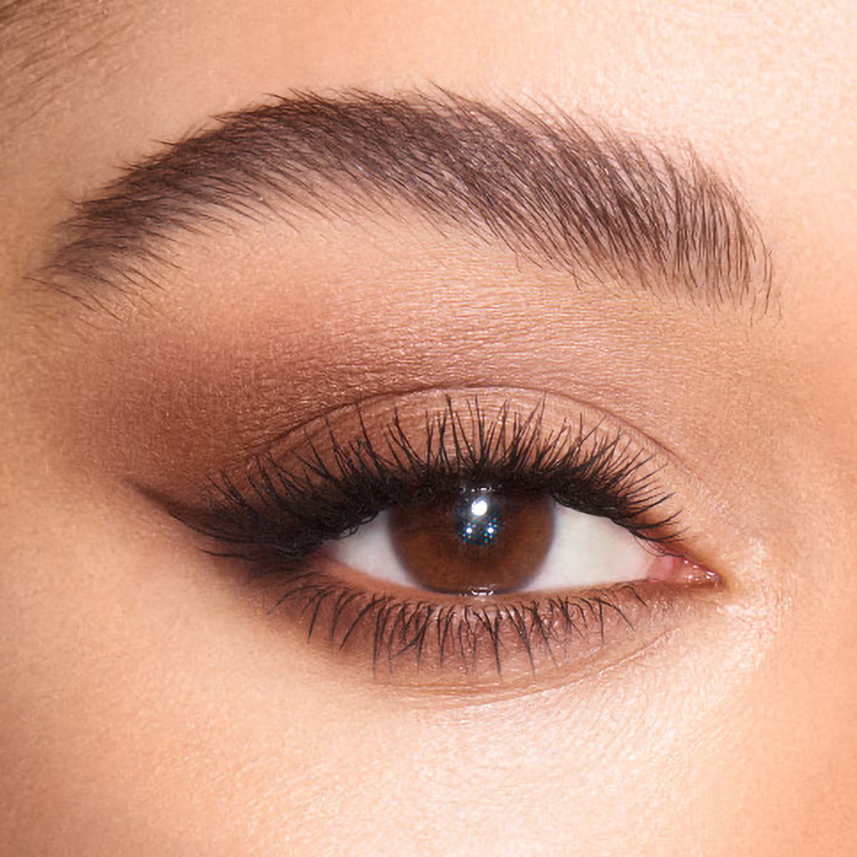 Luxury Palette - Azora Beauty