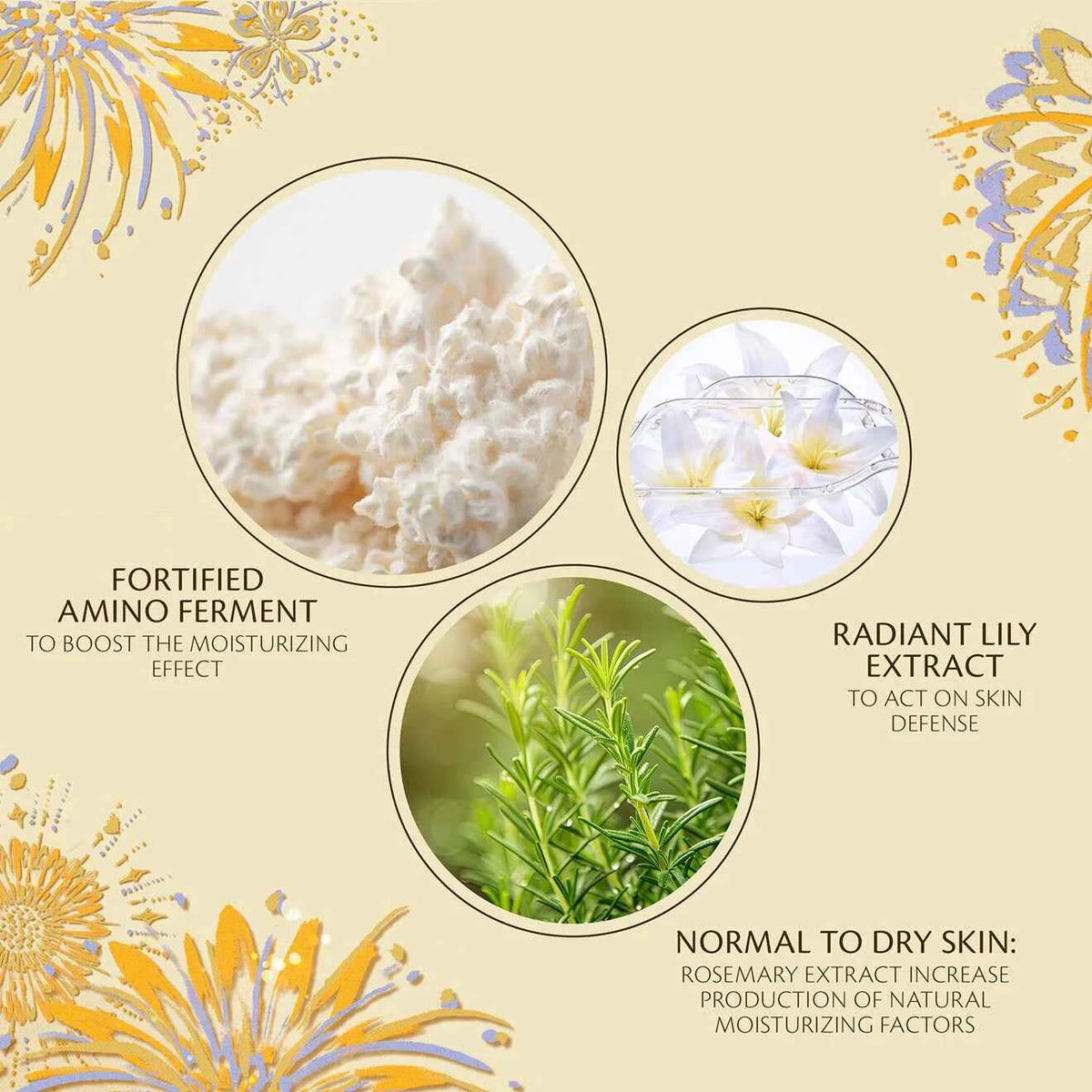 Hydro Softening Essence Lotion