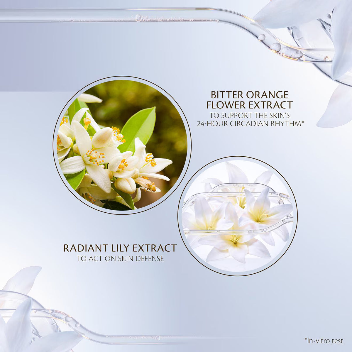 Intensive Fortifying Emulsion - Azora Beauty