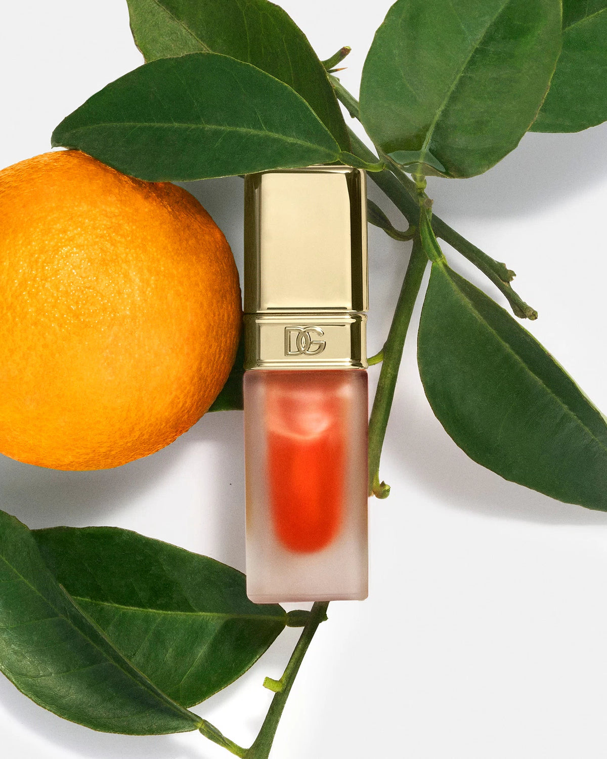 Oil Lip Plumper - Azora Beauty