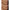 Spectralite FaceWare Pro