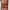 Stunna Lip Paint Longwear Fluid Lip Color