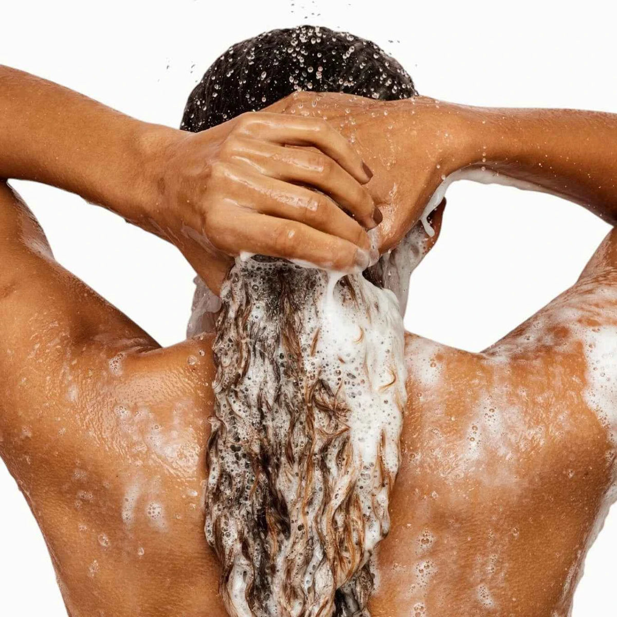 The Rich One Moisture Repair Shampoo