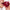 Balm Dotcom Lip Balm And Skin Salve - Azora Beauty
