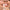 Lip Line - Enhancing Pencil