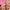 Cloud Paint Plush Blush - Azora Beauty