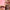 Lip Glaze Hydrating Lip Oil - Azora Beauty