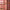 Glossybounce™ - High-Shine Hydrating Lip Gloss Oil - Azora Beauty
