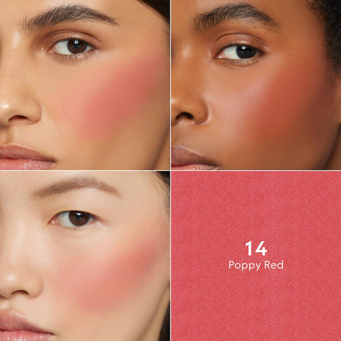 Luminous Matte Powder Blush