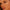 Ambient™ Lighting Palette - Azora Beauty