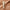 Illusion Luminous Glow Foundation SPF30 - Azora Beauty