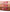 Blush Filter - Liquid Blush - Azora Beauty