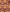 Lip Contour 2.0 - Azora Beauty