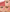 Blush Filter - Liquid Blush - Azora Beauty