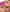 Blush Filter - Liquid Blush - Azora Beauty