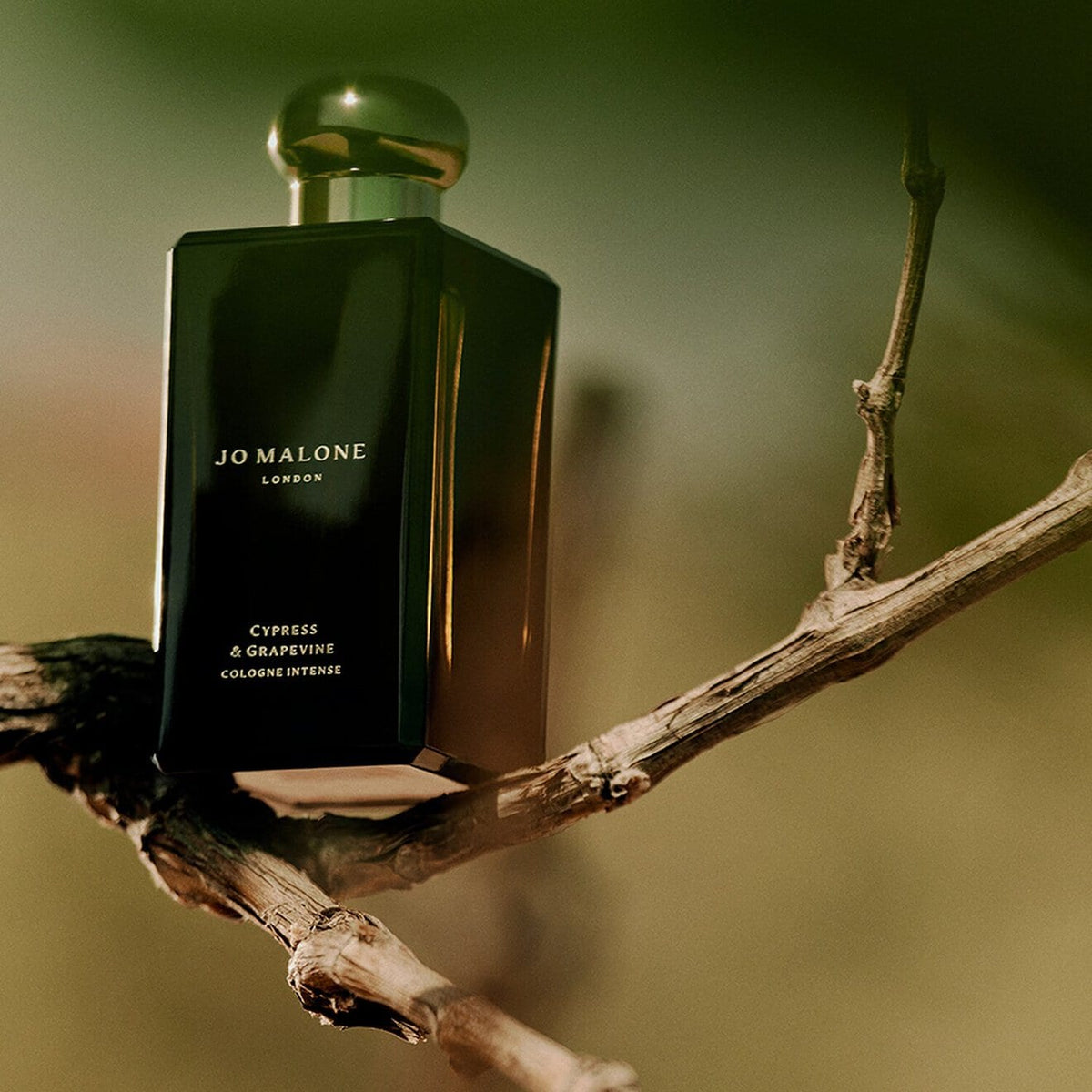 Cypress & Grapevine Cologne Intense - Azora Beauty