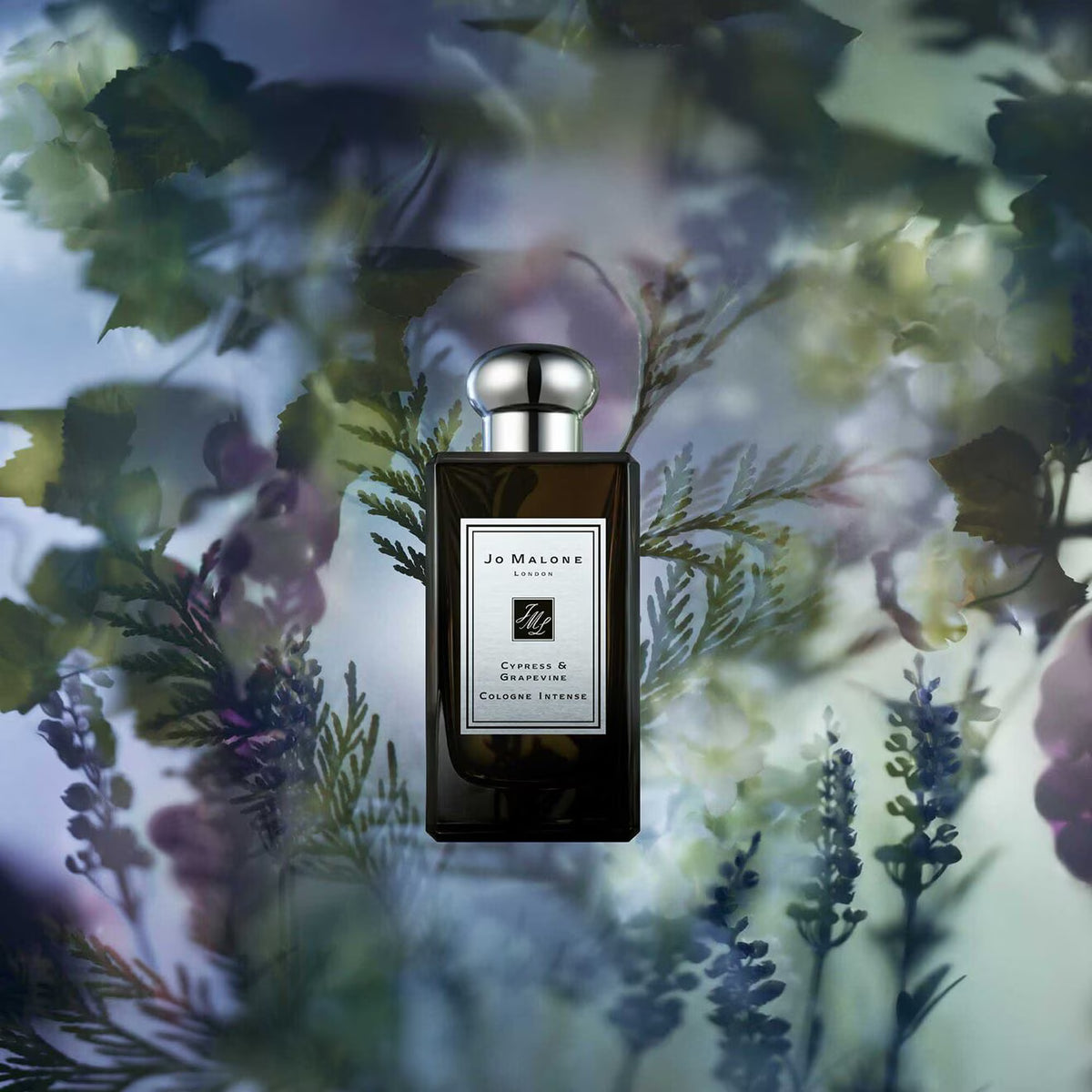 Cypress & Grapevine Cologne Intense - Azora Beauty