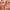 Wet Lip Oil Plumping Treatment Gloss - Azora Beauty