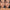 Revealer Concealer - Azora Beauty
