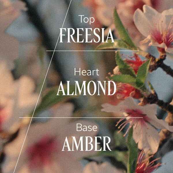 Almond (Amande) Delightful Hair & Body Mist