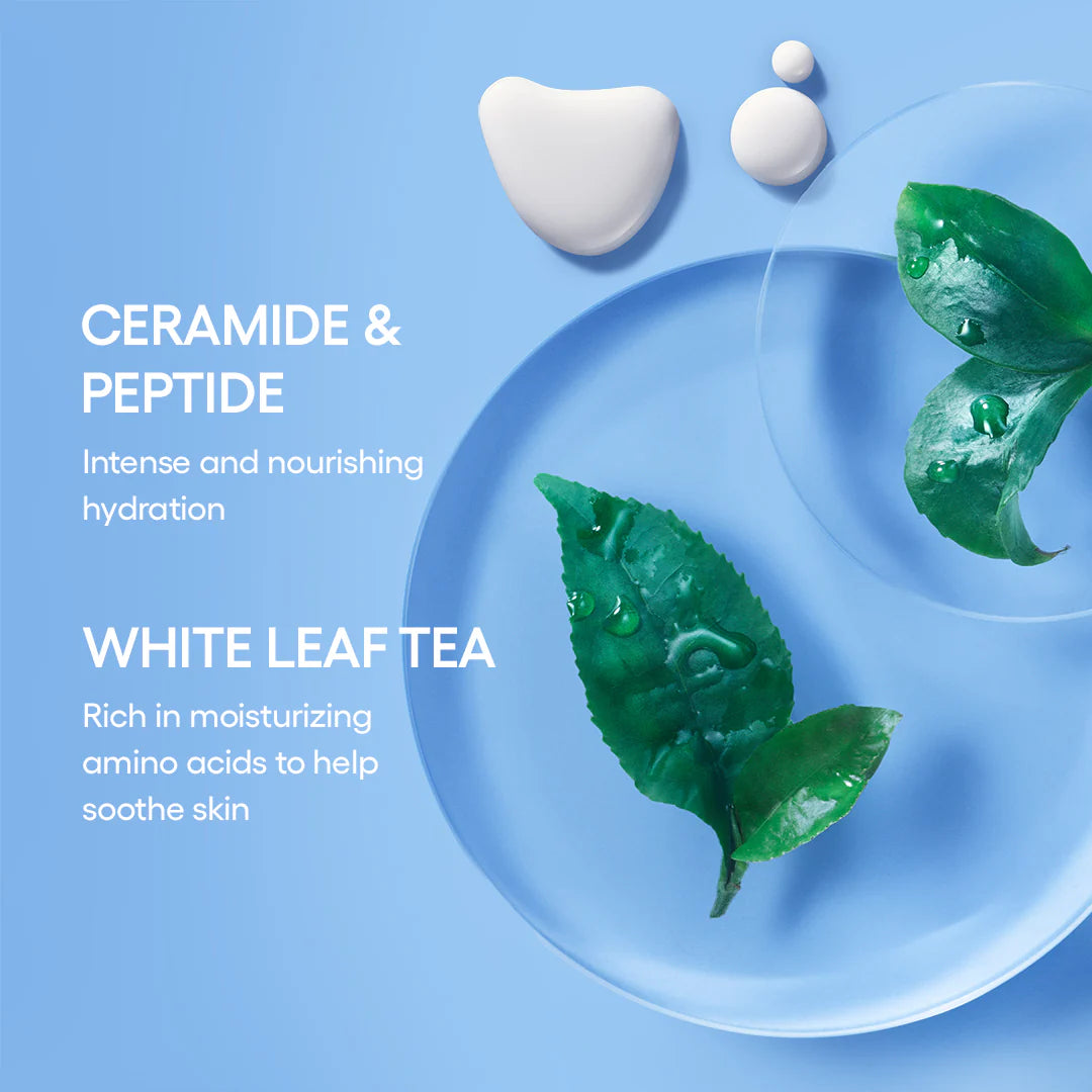 Icons To Go - Hydrate & Revitalize - Azora Beauty