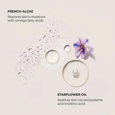 Ambre Vanillé Serum Body Cream