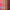 Lip Idôle CuddleBlur™