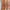 MoistureGlow™ Plumping Lip Color - Azora Beauty