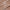 Soft Shimmer™ Long Wearing Cream Shadow
