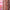 SuperShine™ Lip Gloss - Azora Beauty