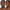 SoftSculpt® Shaping Stick - Azora Beauty