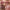 SuperShine™ Lip Gloss - Azora Beauty
