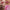 SuperShine™ Lip Gloss - Azora Beauty