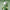 Matcha Milk Hair and Body Fragrance Mist