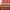 Dew Blush - Blendable Liquid Blush - Azora Beauty