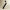 Missing Person Fragrance Oil