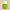 Mood Ring Eau de Parfum